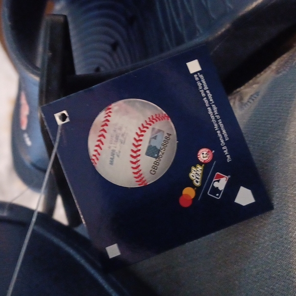 Houston Astro Slides - Picture 5 of 5